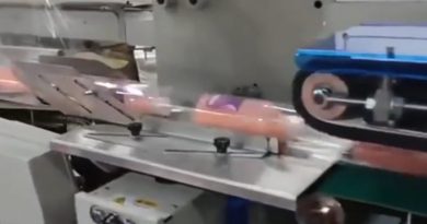 pillow-type shrink packaging machine