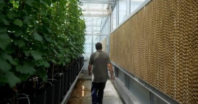 Evaporative cooling pads packaging solutions